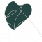 home-musing-green-heart-removebg-preview